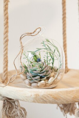 Lovely Whimsical Glass Terrarium with Artificial Succulents and Plants in Light Greens and Blue Tones - image1